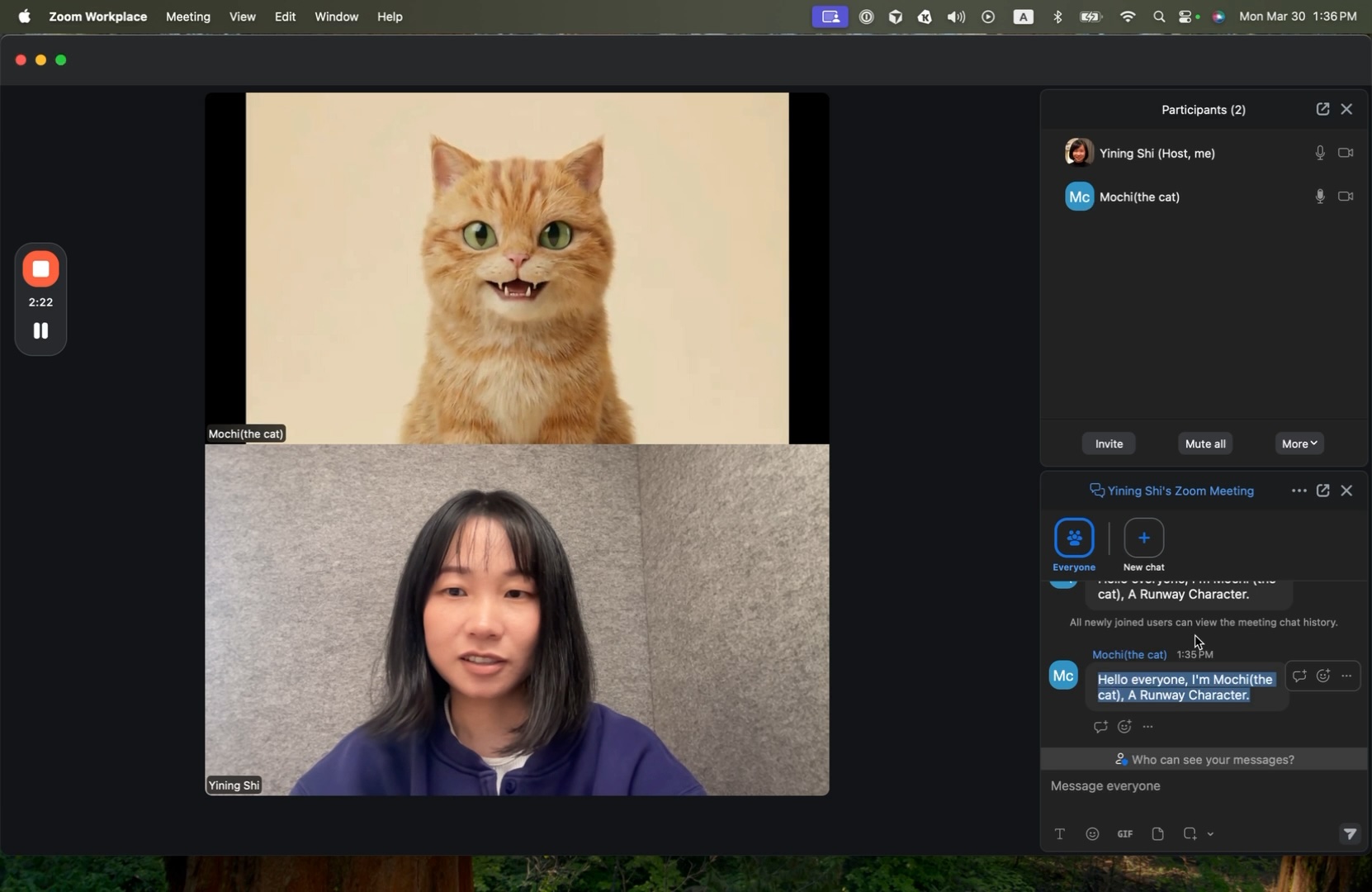 zoom meeting with cat character